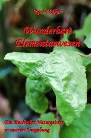 Cover of Wunderbare Elementarwesen