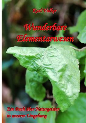 Book cover for Wunderbare Elementarwesen