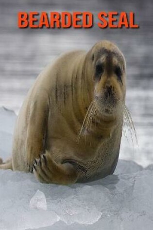 Cover of Bearded Seal