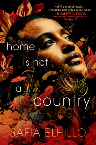 Book cover for Home Is Not a Country