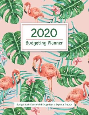 Book cover for 2020 Budget Book Monthly Bill Organizer & Expense Tracker