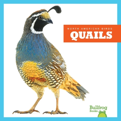 Book cover for Quails