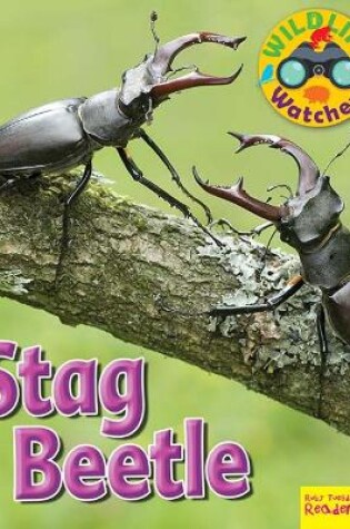 Cover of Wildlife Watchers: Stag Beetle