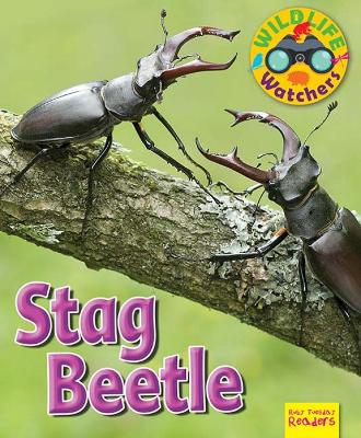 Cover of Wildlife Watchers: Stag Beetle