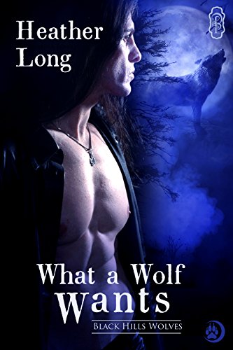 Book cover for What a Wolf Wants