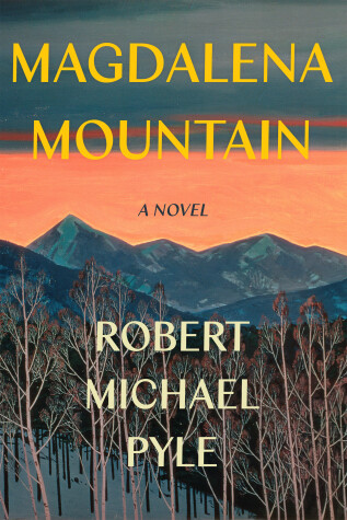 Book cover for Magdalena Mountain