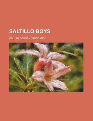 Book cover for Saltillo Boys