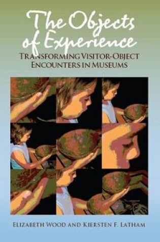Cover of The Objects of Experience