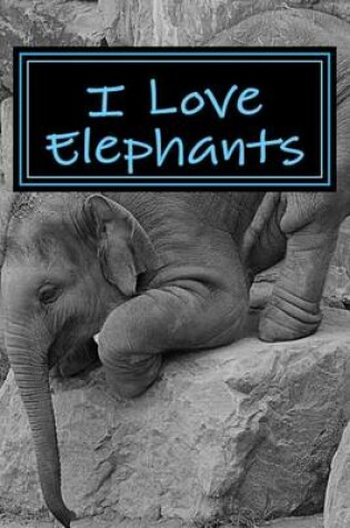 Cover of I Love Elephants