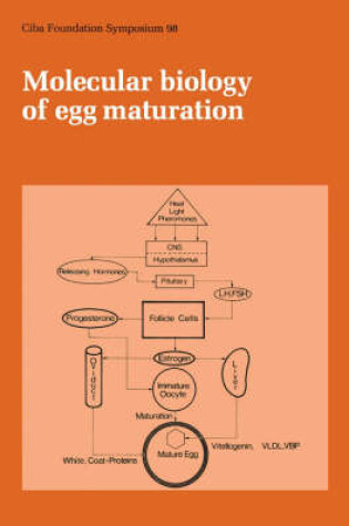 Cover of Ciba Foundation Symposium 98 – Molecular Biology Of Egg Maturation