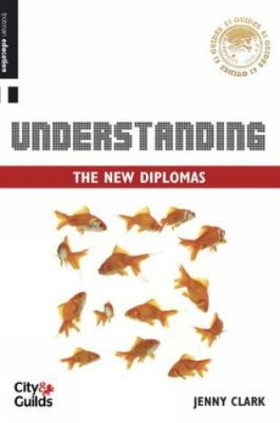 Cover of £1 Guide: Understanding the New Diplomas