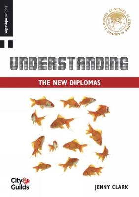 Book cover for £1 Guide: Understanding the New Diplomas