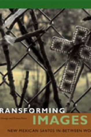 Cover of Transforming Images