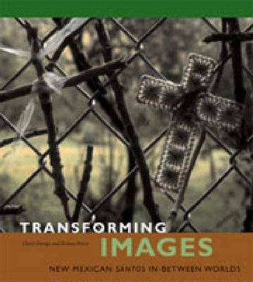 Book cover for Transforming Images