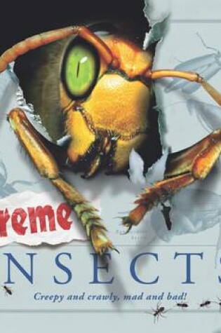 Cover of Extreme Insects