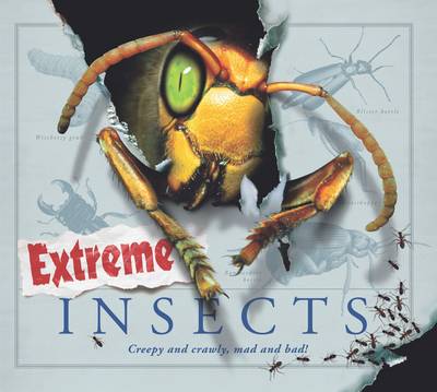 Book cover for Extreme Insects