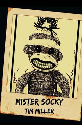 Book cover for Mister Socky