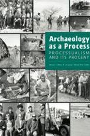 Cover of Archaeology as a Process