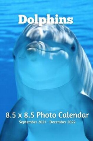Cover of Dolphin 8.5 X 8.5 Calendar September 2021-December 2022