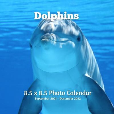 Book cover for Dolphin 8.5 X 8.5 Calendar September 2021-December 2022
