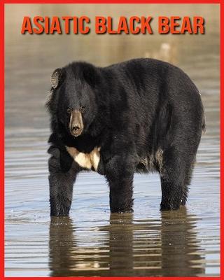 Book cover for Asiatic Black Bear