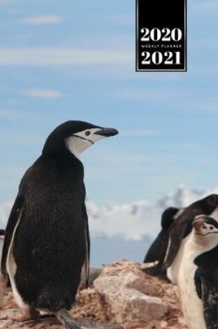 Cover of Penguin Puffin Antarctica Seabird Week Planner Weekly Organizer Calendar 2020 / 2021 - Look Dreamy
