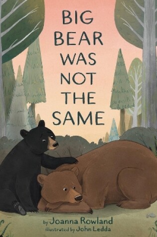 Cover of Big Bear Was Not the Same