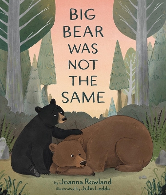 Book cover for Big Bear Was Not the Same