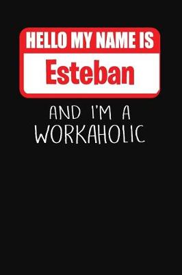 Book cover for Hello My Name Is Esteban