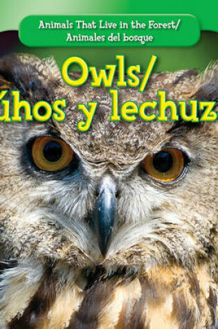 Cover of Owls / Búhos Y Lechuzas