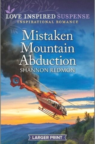 Cover of Mistaken Mountain Abduction