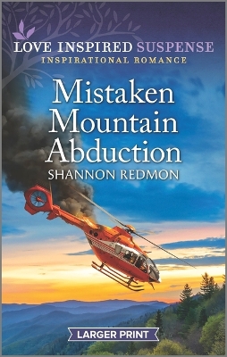 Book cover for Mistaken Mountain Abduction