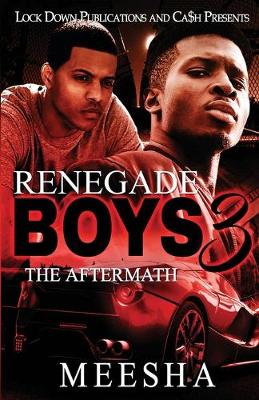 Book cover for Renegade Boys 3