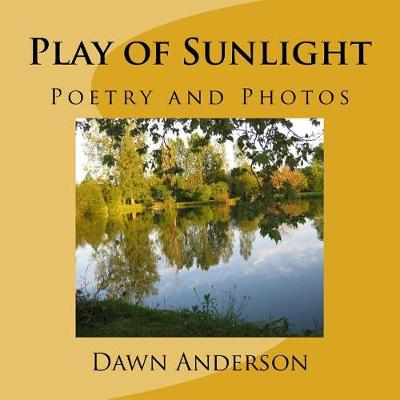 Book cover for Play of Sunlight