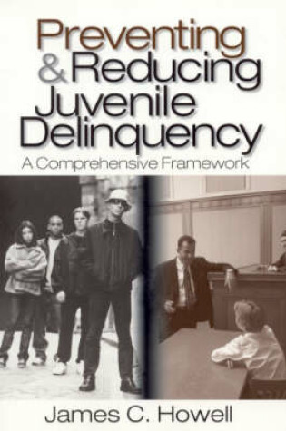 Cover of Preventing and Reducing Juvenile Delinquency