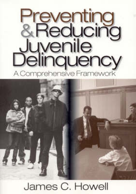 Book cover for Preventing and Reducing Juvenile Delinquency