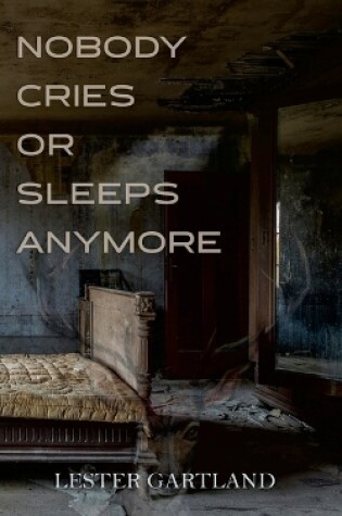 Cover of Nobody Cries or Sleeps Anymore