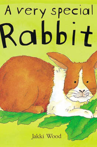 Cover of A Very Special Rabbit