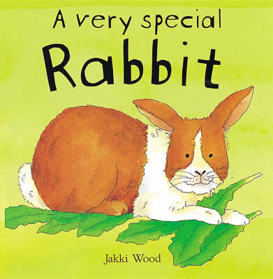 Cover of A Very Special Rabbit