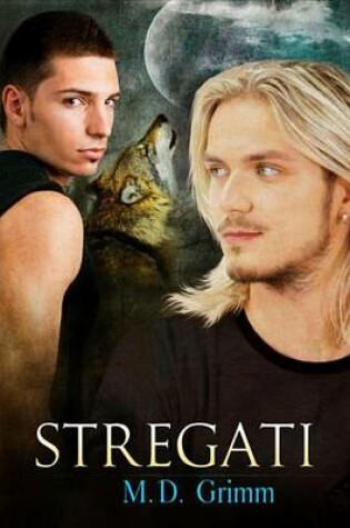 Cover of Stregati