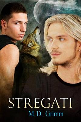 Book cover for Stregati