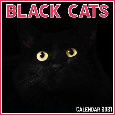 Book cover for Black Cats Calendar 2021