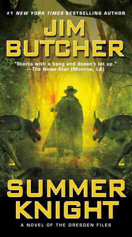 Book cover for Summer Knight