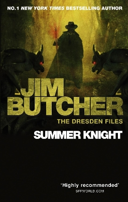 Book cover for Summer Knight