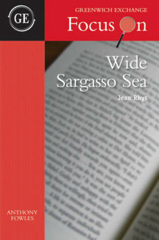 Cover of Wide Sargasso Sea by Jean Rhys