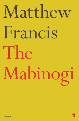 Book cover for The Mabinogi