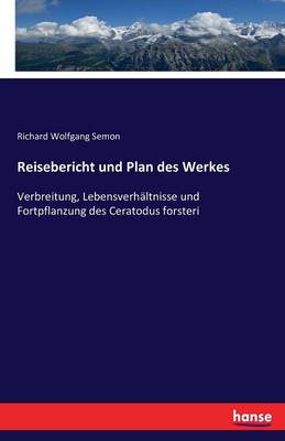 Book cover for Reisebericht und Plan des Werkes