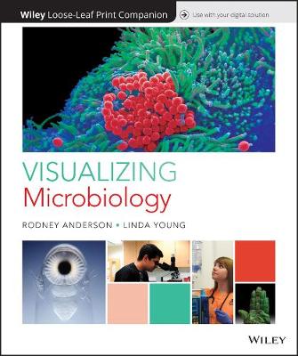 Book cover for Visualizing Microbiology