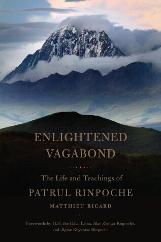 Book cover for Enlightened Vagabond