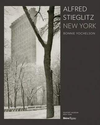 Book cover for Alfred Stieglitz New York